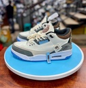 Jordan 3, Tigers Edition